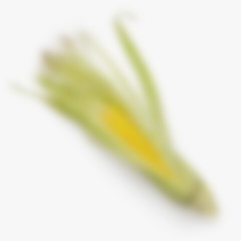 IQF Sweet Corn